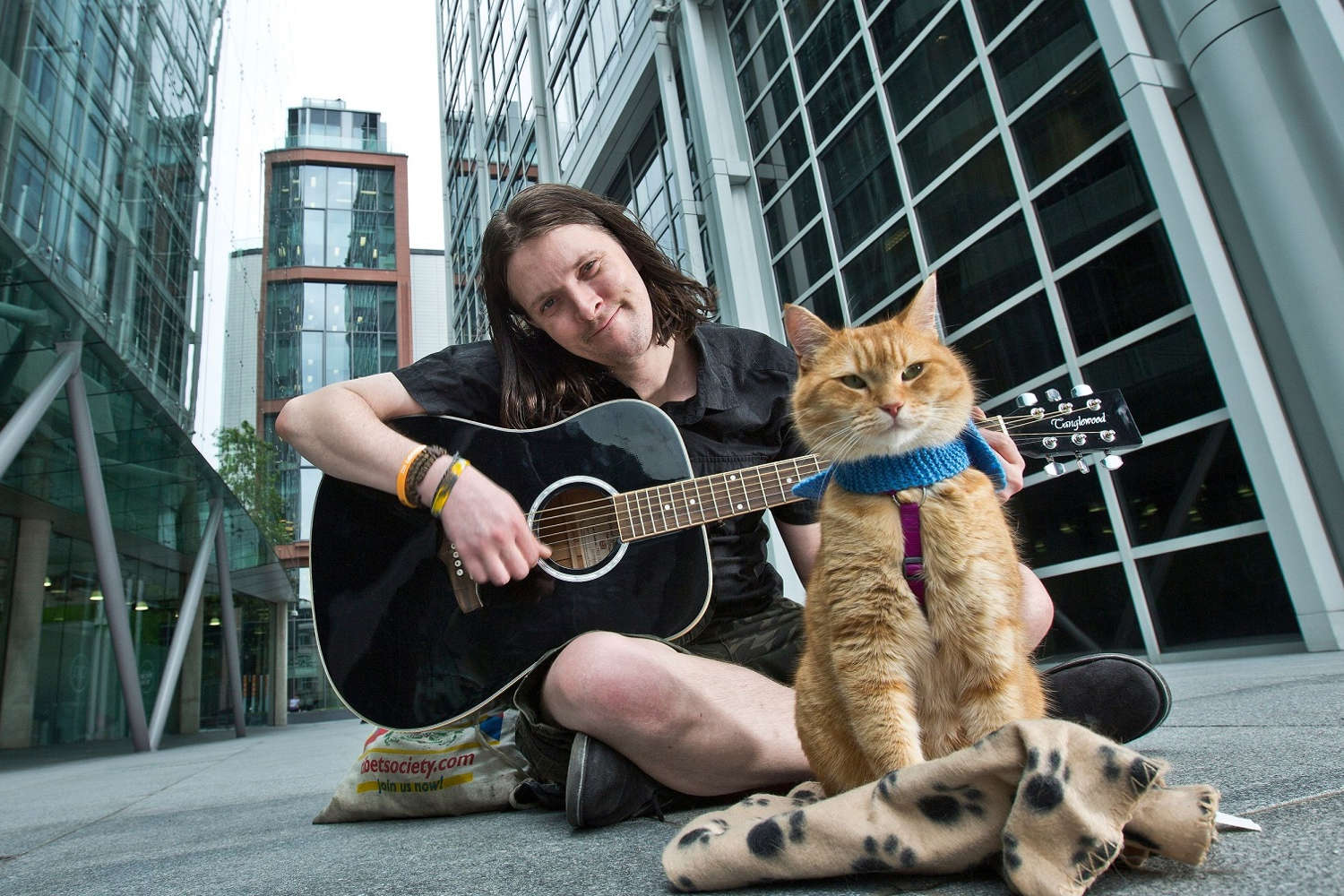 A Street Cat Named Bob (2016)